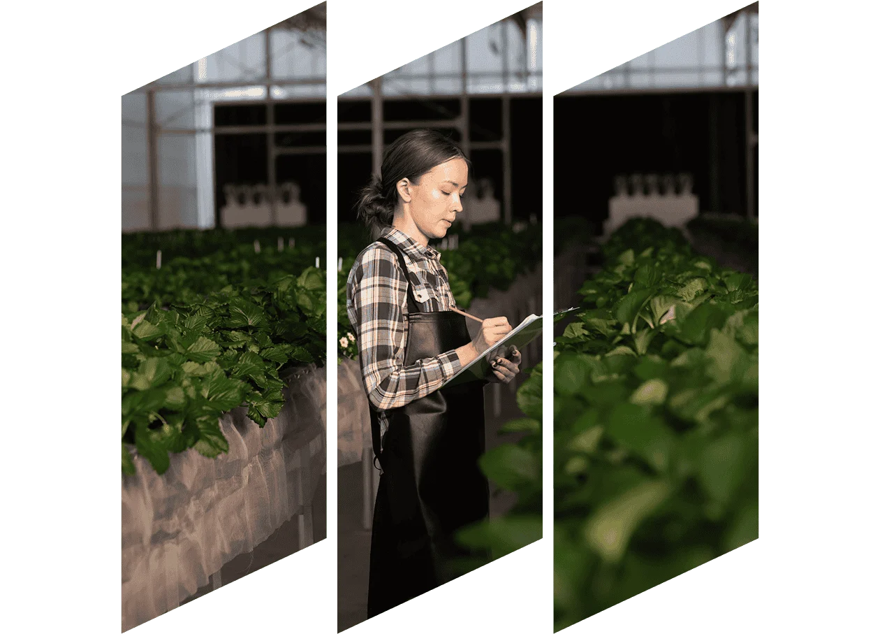 woman on farm with clipboard