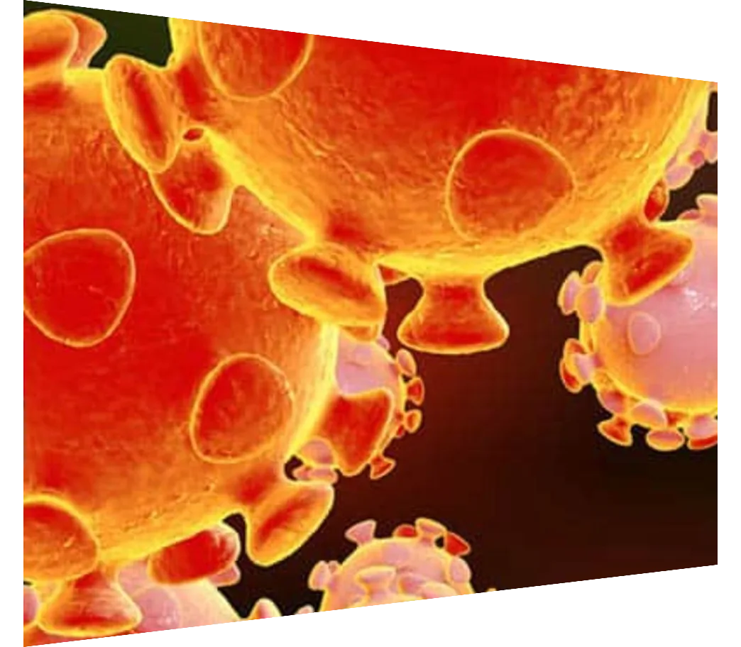 Close-up image of Coronavirus